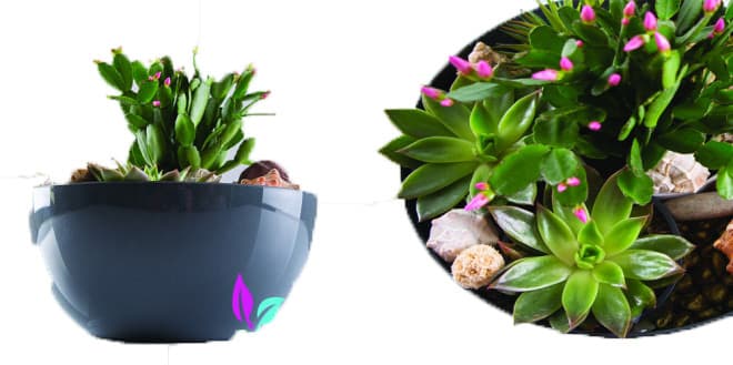 Čeri saksija 18cm siva