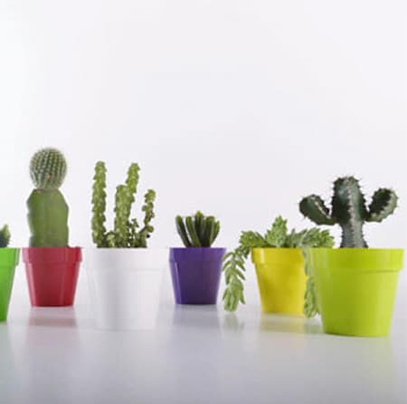 Crystal Plus saksija 14cm ljubičasta