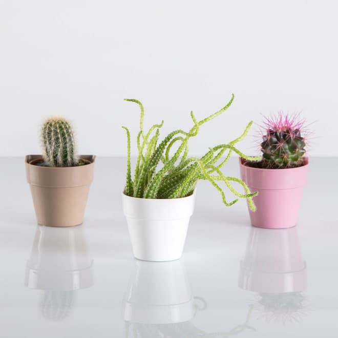 Saksija sa magnetom Magnetika ø6 - bela