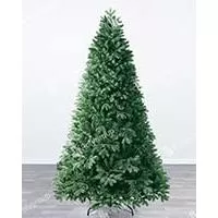 Kliknite za detalje - Bujna Jelka Evergreen Classics Falls Fir  180 cm