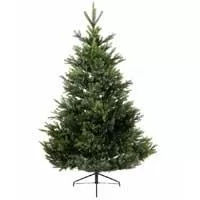 Kliknite za detalje - Novogodišnja jelka Everlands Arlberg fir 180cm