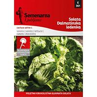 Seme 5 kesica - Zelena salata dalmatinska ledenka -  Lactuca sativa L. 361