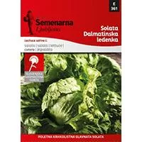 Kliknite za detalje - Seme 10 kesica - Zelena salata dalmatinska ledenka -  Lactuca sativa L. 361