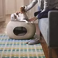 Kliknite za detalje - Kućica i Krevet Za Pse i Mačke Curver Ketter COZY