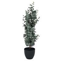 Veštačka biljka Eukaliptus 90cm