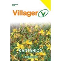 Kliknite za detalje - Kantarion - seme 10 kesica Villager 004811