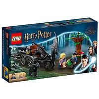 LEGO Harry Potter Kocke - Hogvorts - Testrali i kočija 76400