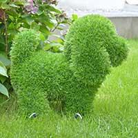 Figura od veštačke trave AniPlants Pudla 