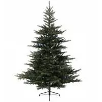 Kliknite za detalje - Novogodišnja jelka Everlands Grandis fir 240cm