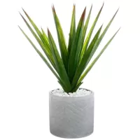 Kliknite za detalje - Atmosphera Aloe Vera U Saksiji 44 x 47cm