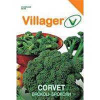 Kliknite za detalje - Seme za Brokoli Corvet 5 kesica Villager 003597