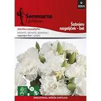 Kliknite za detalje - Seme za Karanfil šabo - beli - Dianthus caryophyllus 5 kesica 3225/6