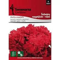 Kliknite za detalje - Seme za Karanfil  šabo - crveni - Dianthus caryophyllus 10 kesica 3225/2