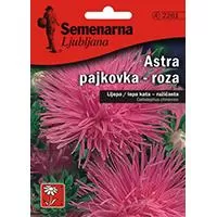 Kliknite za detalje - Seme 5 kesica Lepa Kata igličasta - pink - Callistephus chinensis spider 2261