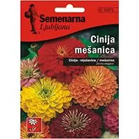 Kliknite za detalje - Baštensko cveće Lepi čovek - mešavina - Zinnia elegans 10 kesica 5971