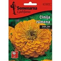 Kliknite za detalje - Baštensko cveće Lepi čovek - Cinija - žuti - Zinnia elegans 5 kesica 5972