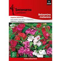 Kliknite za detalje - Seme 5 kesica za cveće Lepi dečko - mešavina - Impatiens balsamina 2440