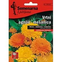 Kliknite za detalje - Seme za cveće 5 kesica Neven - mešavina - Calendula officinalis 2632