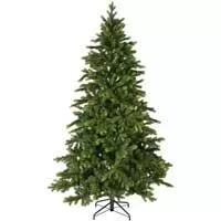 Jelka Galloway Spruce 240cm