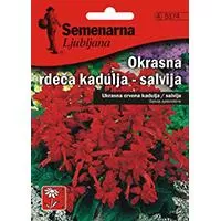 Kliknite za detalje - Baštensko cveće Plamena Kadulja - Žalfija - Salvia splendens 5 kesica 5174