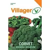 Kliknite za detalje - Seme za Brokoli Corvet 10 kesica Villager 003597
