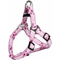 Kliknite za detalje - Am za psa vel. XS Modern Art One Touch Rose Heart Trixie 15308