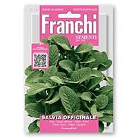 Garnitura Od PET Ratana Frappe