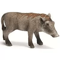 Kliknite za detalje - Schleich Divlje životinje - Bradavičasto Prase 14612