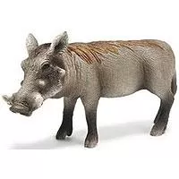 Kliknite za detalje - Schleich Divlje životinje - Bradavičasta Svinja 14613