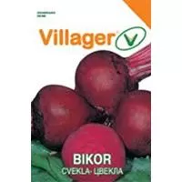 Kliknite za detalje - Seme za povrće - Cvekla bikor 10 kesica Villager 011313