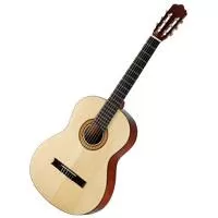 Kliknite za detalje - Walden Hawthorne HD220 akustična gitara