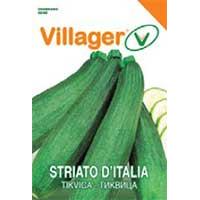 Kliknite za detalje - Seme 5 kesica Tikvica Striato d Italia Villager