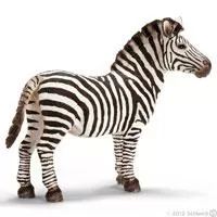 Kliknite za detalje - Schleich Divlje Životinje - Zebra, mužjak 14391