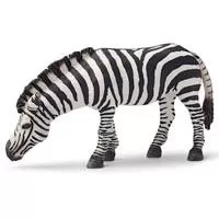 Kliknite za detalje - Schleich Divlje Životinje - Zebra, pase 14609