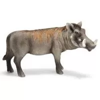 Kliknite za detalje - Schleich Divlje Životinje - Bradavičasta svinja, mužjak 14611
