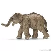 Kliknite za detalje - Schleich Divlje Životinje - Mladunče azijskog slona 14655