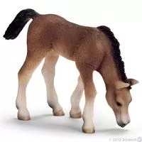 Kliknite za detalje - Schleich Domaće životinje - Arapsko ždrebe, pase 13652