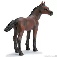 Kliknite za detalje - Schleich Domaće životinje - Arapsko ždrebe 13276