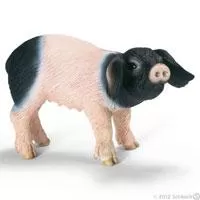Kliknite za detalje - Schleich Domaće životinje - Švapsko prase 13636