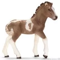 Kliknite za detalje - Schleich Domaće životinje - Islandski poni, ždrebe 13709