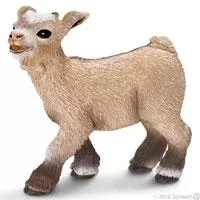 Kliknite za detalje - Schleich Domaće životinje - Mladunče patuljaste koze, bleji 13717