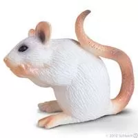 Kliknite za detalje - Schleich Kućni ljubimci - Beli miš 14406