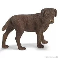 Kliknite za detalje - Schleich Domaće životinje - Labrador, ženka 16387