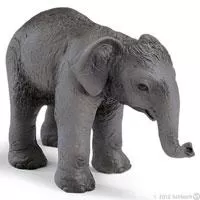 Kliknite za detalje - Schleich Divlje Životinje - Mladunče azijskog slona 14343