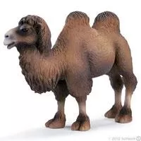 Kliknite za detalje - Schleich Divlje Životinje - Dvogrba kamila 14348