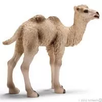 Kliknite za detalje - Schleich Divlje Životinje - Mladunče kamile 14602