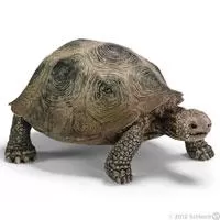 Kliknite za detalje - Schleich Divlje Životinje - Džinovska kornjača 14601
