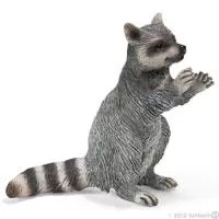 Kliknite za detalje - Schleich Divlje Životinje - Rakun, stoji 14624