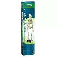 Kliknite za detalje - Skeleton Mehano E217