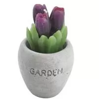 Kliknite za detalje - Sveća Ø6cm Flower - ljubičasta